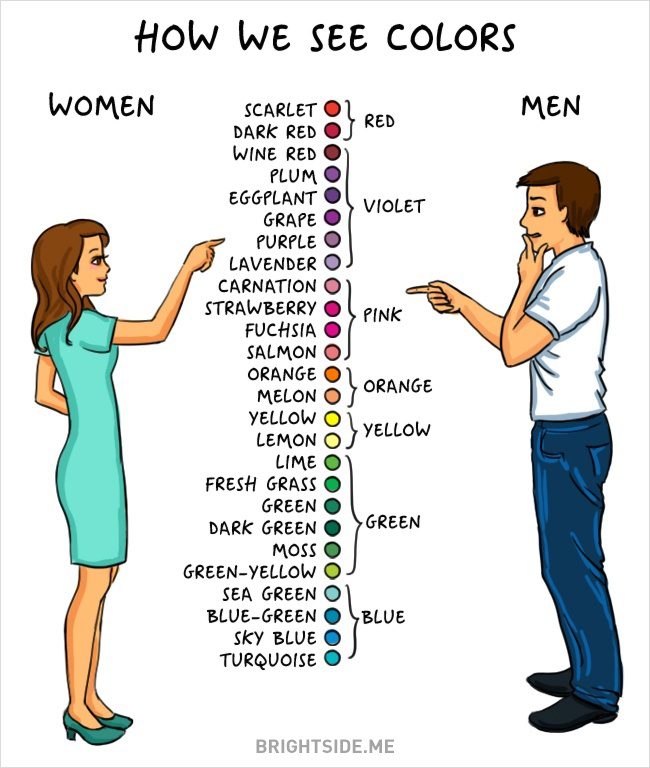 men women difference 11