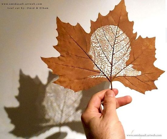 diy leaf art silhouette design