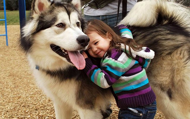 kids and dogs relationship