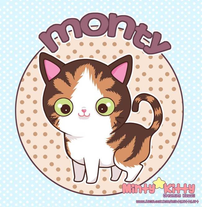 Monty the cat