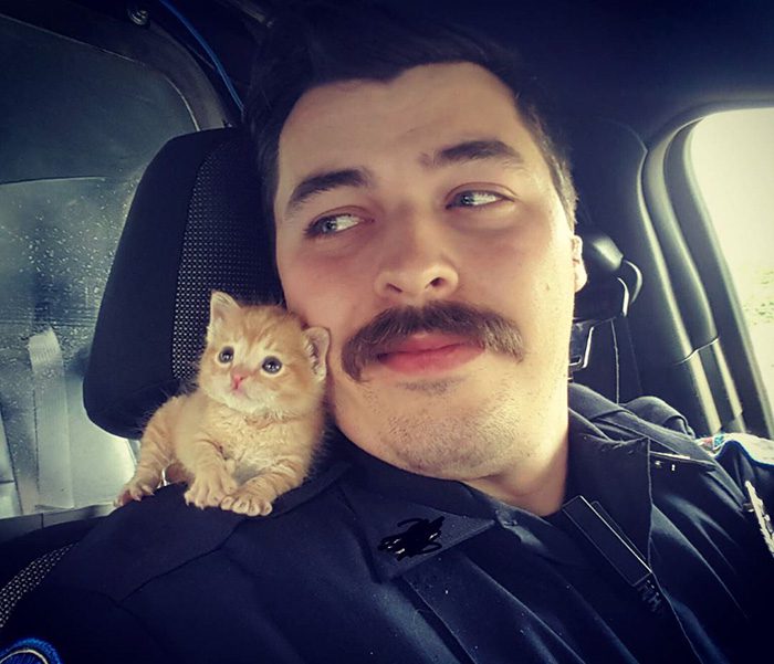 cop and kitten 