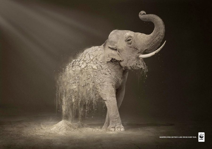 environmental campaign ads