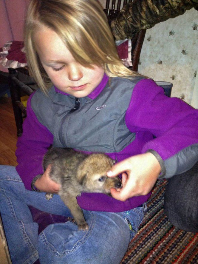 little girl with coyote 