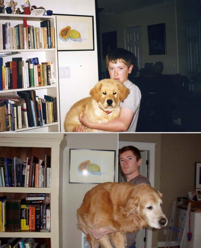 pets growing up with owners