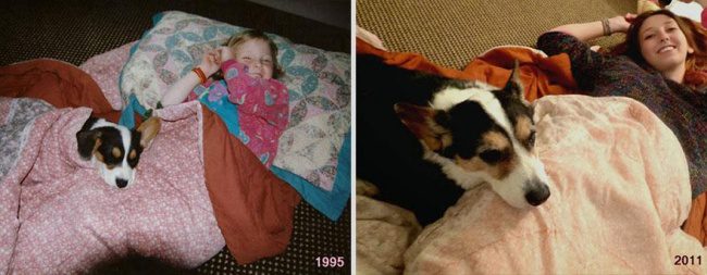 pets growing up with owners