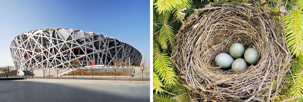 Nature Inspired Architecture 2