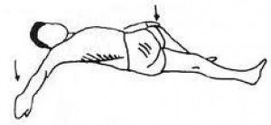 exercises for spine