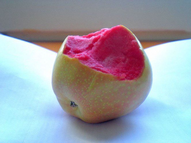 pink pearl apple 1