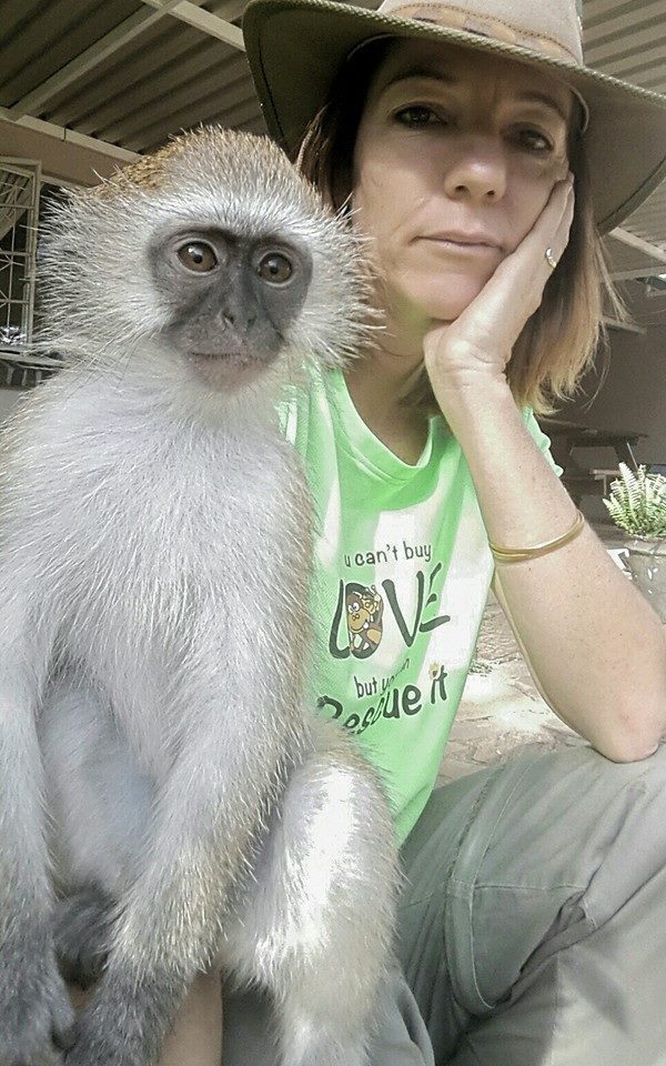 rescued monkey 3