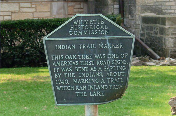 Trees Used By Native Americans 13