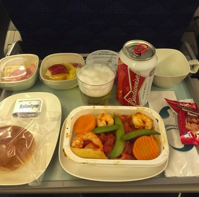 airline meals 21