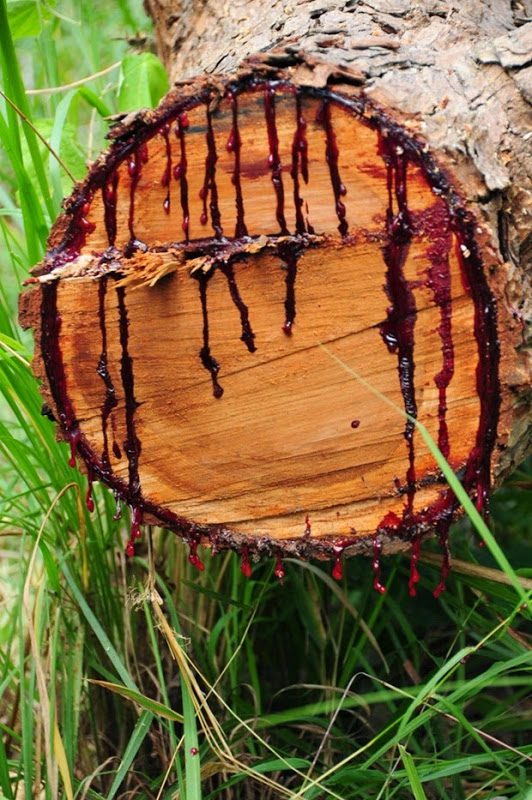 blood wood tree 5