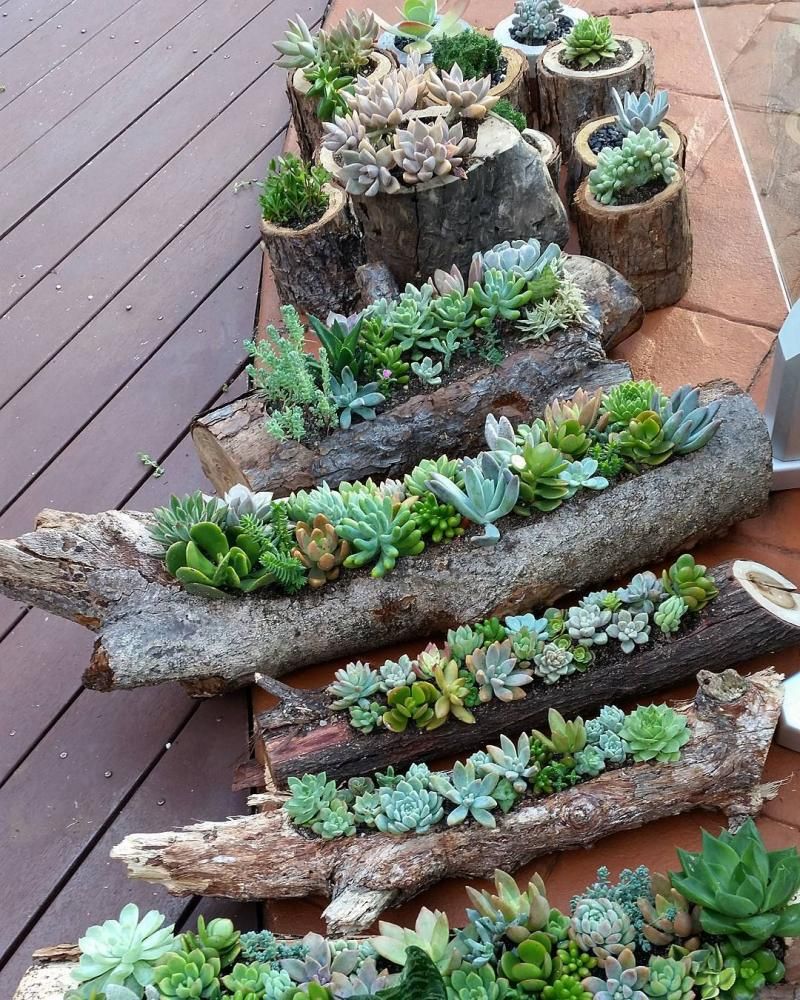 turning log into planter 1