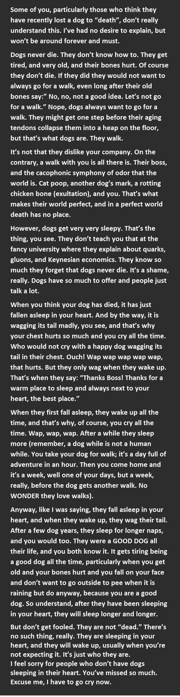 dogs never die
