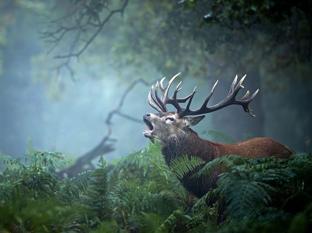 15 Of The Most Beautiful Photos From National Geographic