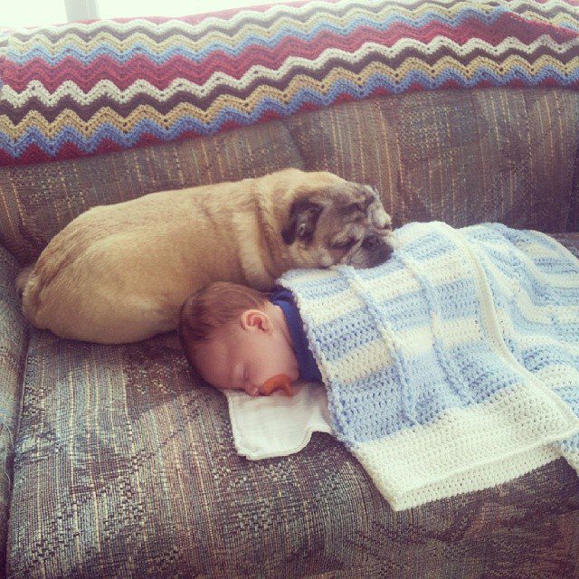 baby with dog