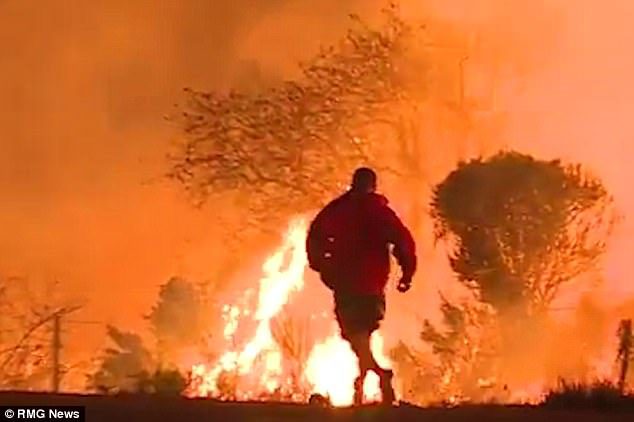 man saved rabbit from wildfire