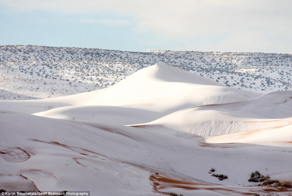 Sahara desert snow