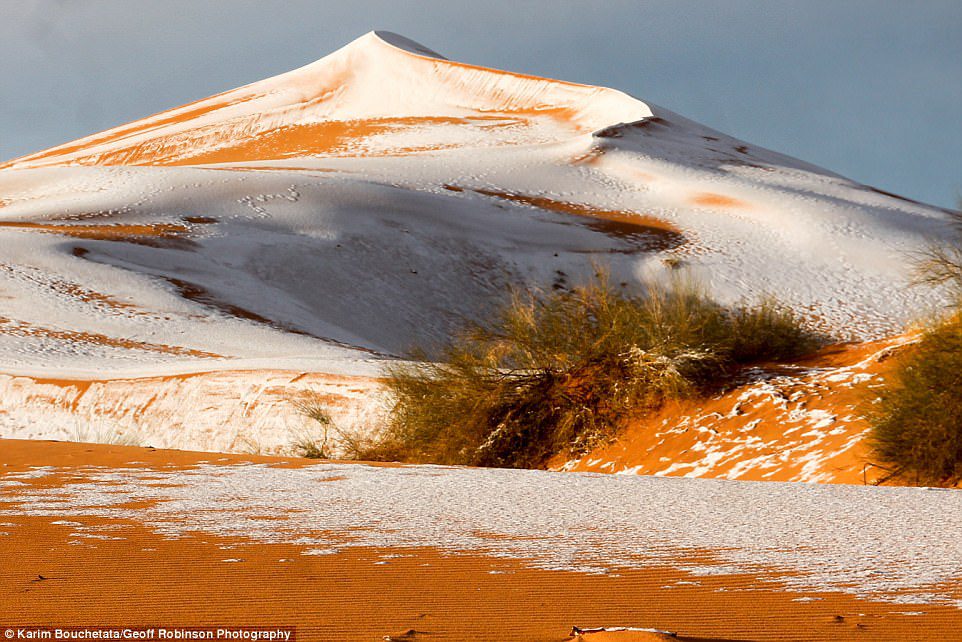 Sahara desert snow