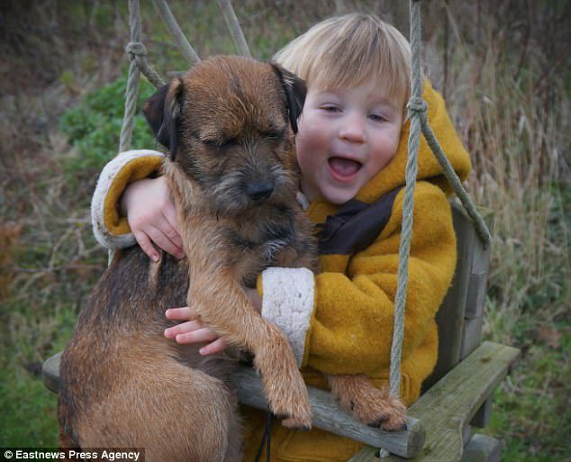 toddler reunited with dog
