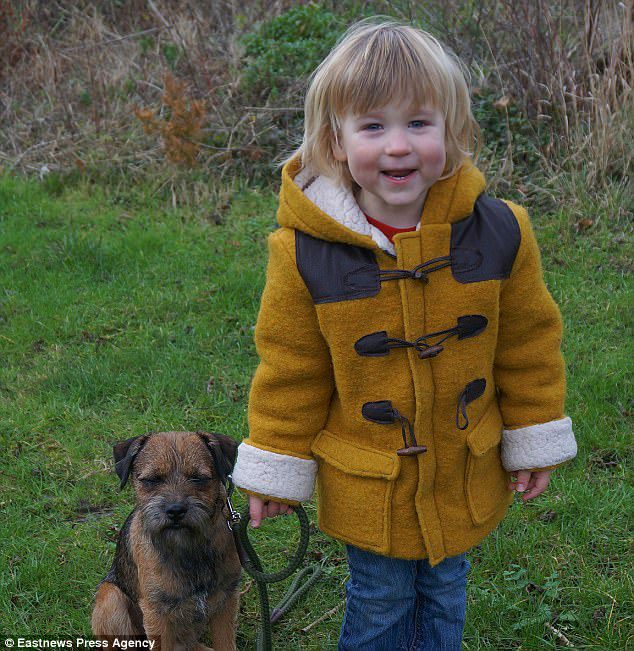 toddler reunited with dog