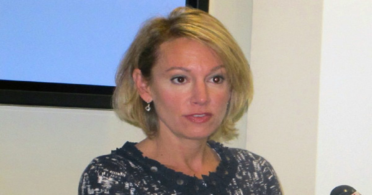 Catherine Templeton gubernatorial candidate