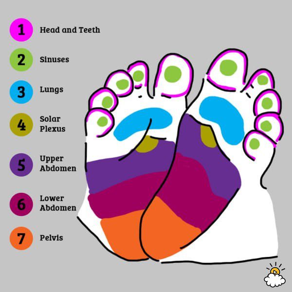 baby foot reflexology 