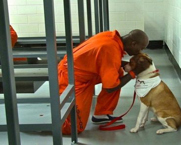 prisoners with dogs