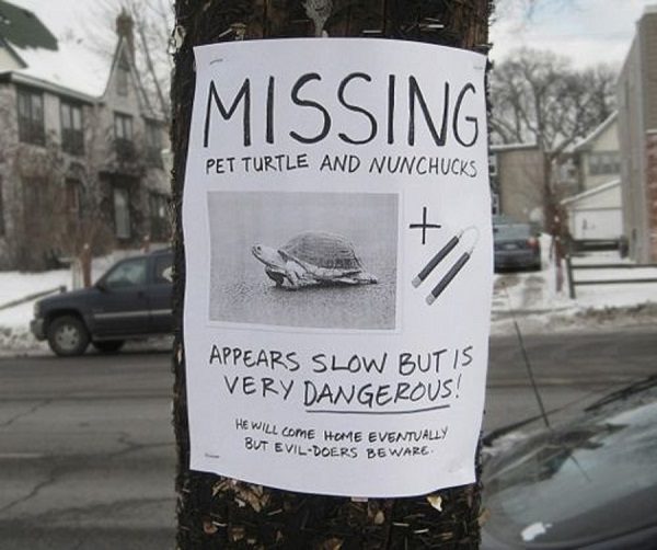 funny lost and found signs
